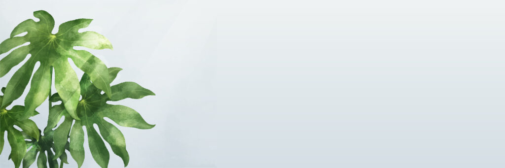 aralia leaf blue banner vector