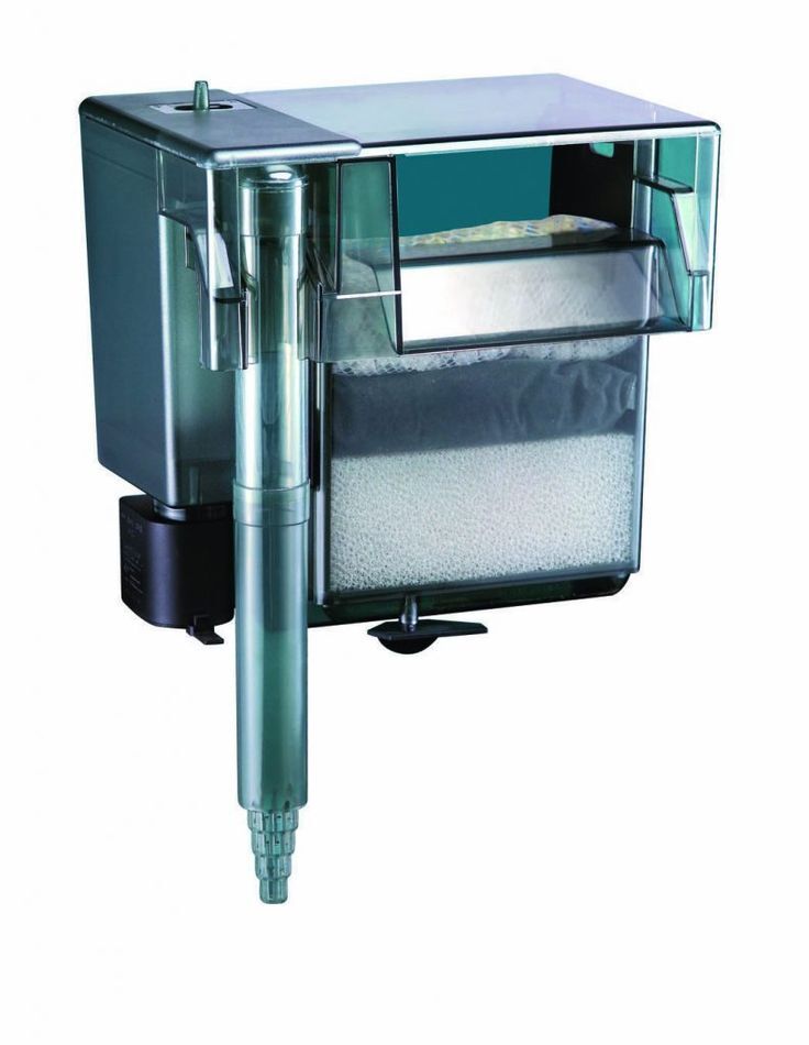 how aquarium filters work a complete explanation for you