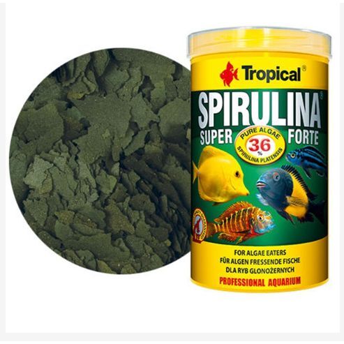 tropical super spirulina forte 36 50g
