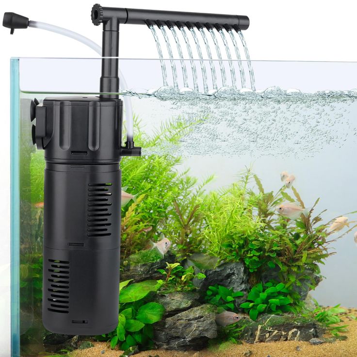 maintain water quality